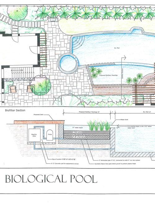 Natural Swimming Pool Design Wallace Landscape Associates